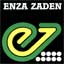 Энза Заден