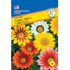 Гацания Кисс F1 Смесь 5 семян Гацания Кисс F1 Смесь 5 семян