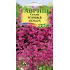 G Сальвия хорминум Розовый монарх 0,05 г G Сальвия хорминум Розовый монарх 0,05 г