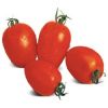 Томат Галилея F1 Томат Галилея F1