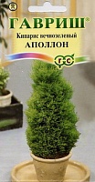 G Кипарис вечнозеленый Аполлон 0,05 г G Кипарис вечнозеленый Аполлон 0,05 г