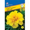 Бархатцы отклоненные Дюранго Жёлтые 10 шт. Бархатцы отклоненные Дюранго Жёлтые 10 шт.