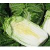 Капуста Спринкин F1 Капуста Спринкин F1