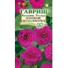 G Бальзамин Уоллера Искушение светло-пурпурное F1 4 шт. G Бальзамин Уоллера Искушение светло-пурпурное F1 4 шт.