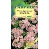 G Флокс друммонда Шанель 8 шт. серия Элитная клумба G Флокс друммонда Шанель 8 шт. серия Элитная клумба