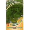 G Укроп Аллигатор 100 г калибр < 2,2 мм G Укроп Аллигатор 100 г калибр < 2,2 мм