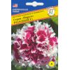 Петуния махровая грандифлора Пирует Розовый F1 5 др. Петуния махровая грандифлора Пирует Розовый F1 5 др.