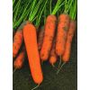 4 Морковь Маэстро F 1 Франция 2,0-2,2 mm (1.500 семян) 4 грамм 4 Морковь Маэстро F 1 Франция 2,0-2,2 mm (1.500 семян) 4 грамм
