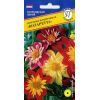Георгина изменчивая Коларетта, 12 шт Георгина изменчивая Коларетта, 12 шт