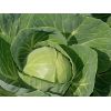 Капуста Миррор F1