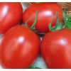 Томат Бенито F1 Томат Бенито F1