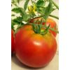 Томат Татьяна 12 семян. Авторские семена