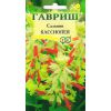 G Сальвия Кассиопия, сверкающая 4 шт G Сальвия Кассиопия, сверкающая 4 шт