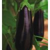 Баклажан Фарама F1