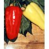 20 Перец Джипси F1 Цыган красный, тип Лаймуйо, Нидерланды 20 семян 20 Перец Джипси F1 Цыган красный, тип Лаймуйо, Нидерланды 20 семян