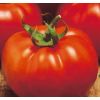 Томат Султан F1 Детерминантный. Нидерланды 1.000 семян Томат Султан F1 Детерминантный. Нидерланды 1.000 семян