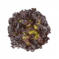 Салат Сатудай Салат Сатудай