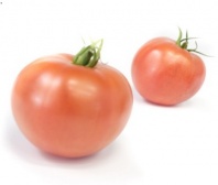 Томат Тивай 12 F1
