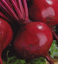 Свекла Кардиал F1 Свекла Кардиал F1