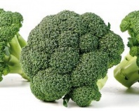 Капуста Тритон F1 Капуста Тритон F1