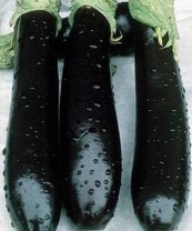 Баклажан Валентина F1