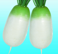 Редька китайская Эйс Спринг F1 Редька китайская Эйс Спринг F1