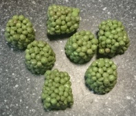 Удобрение длительного действия Базакот ТАБС 6 М Удобрение длительного действия Базакот ТАБС 6 М