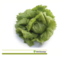 Салат Айс Базаар Салат Айс Базаар