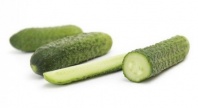 Огурец Саунд F1 Нидерланды 100 семян Огурец Саунд F1 Нидерланды 100 семян