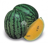 Арбуз Шампань F1 Арбуз Шампань F1