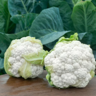 Капуста Амидала F1