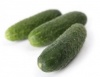 Огурец Чайковский F1 Нидерланды 100 семян