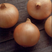 Лук репчатый Кэнди F1 Лук репчатый Кэнди F1