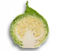 Капуста Мадлен F1 Капуста Мадлен F1