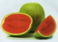 Арбуз Эль Уафи F1 Арбуз Эль Уафи F1