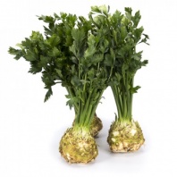 Сельдерей корневой Президент Сельдерей корневой Президент