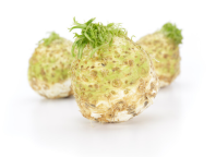 Сельдерей корневой Отаго Сельдерей корневой Отаго