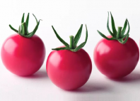 Томат Рианна F1