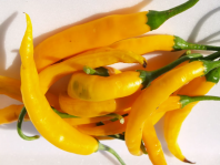 Перец Каенский Чили Желтый Перец Каенский Чили Желтый