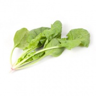 Шпинат Пума F1 Шпинат Пума F1