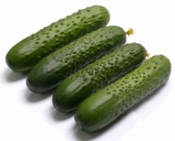 Огурец Спино F1 Огурец Спино F1