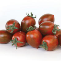 Томат KS 277 F 1 Томат KS 277 F 1