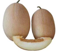 Дыня Дакаро F1 Дыня Дакаро F1