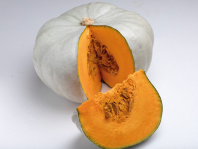 Тыква Нельсон F1 Тыква Нельсон F1