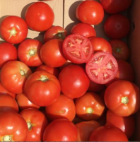 Томат Бесуто F1 Томат Бесуто F1