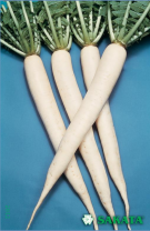 Дайкон Мино Самэ Кросс F1 Дайкон Мино Самэ Кросс F1