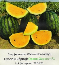 Арбуз Оранж Харвест F1 США 1.000 семян