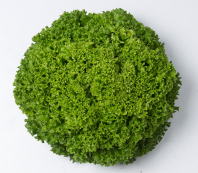 Салат Илема Салат Илема