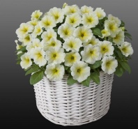 Петуния Джоконда Lime Yellow F1