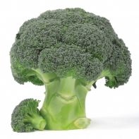 Капуста Миксквик F1 Капуста Миксквик F1